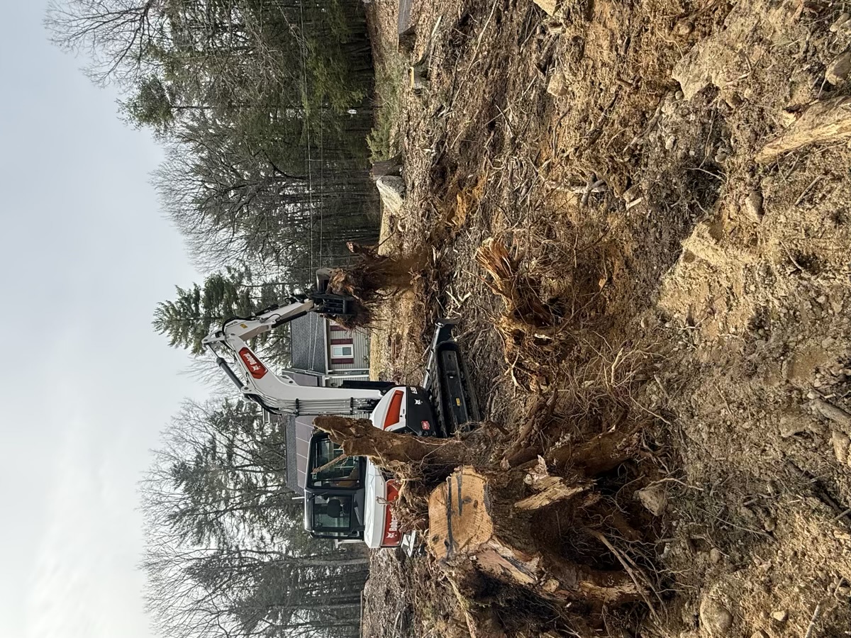 D&D Landscaping land clearing project