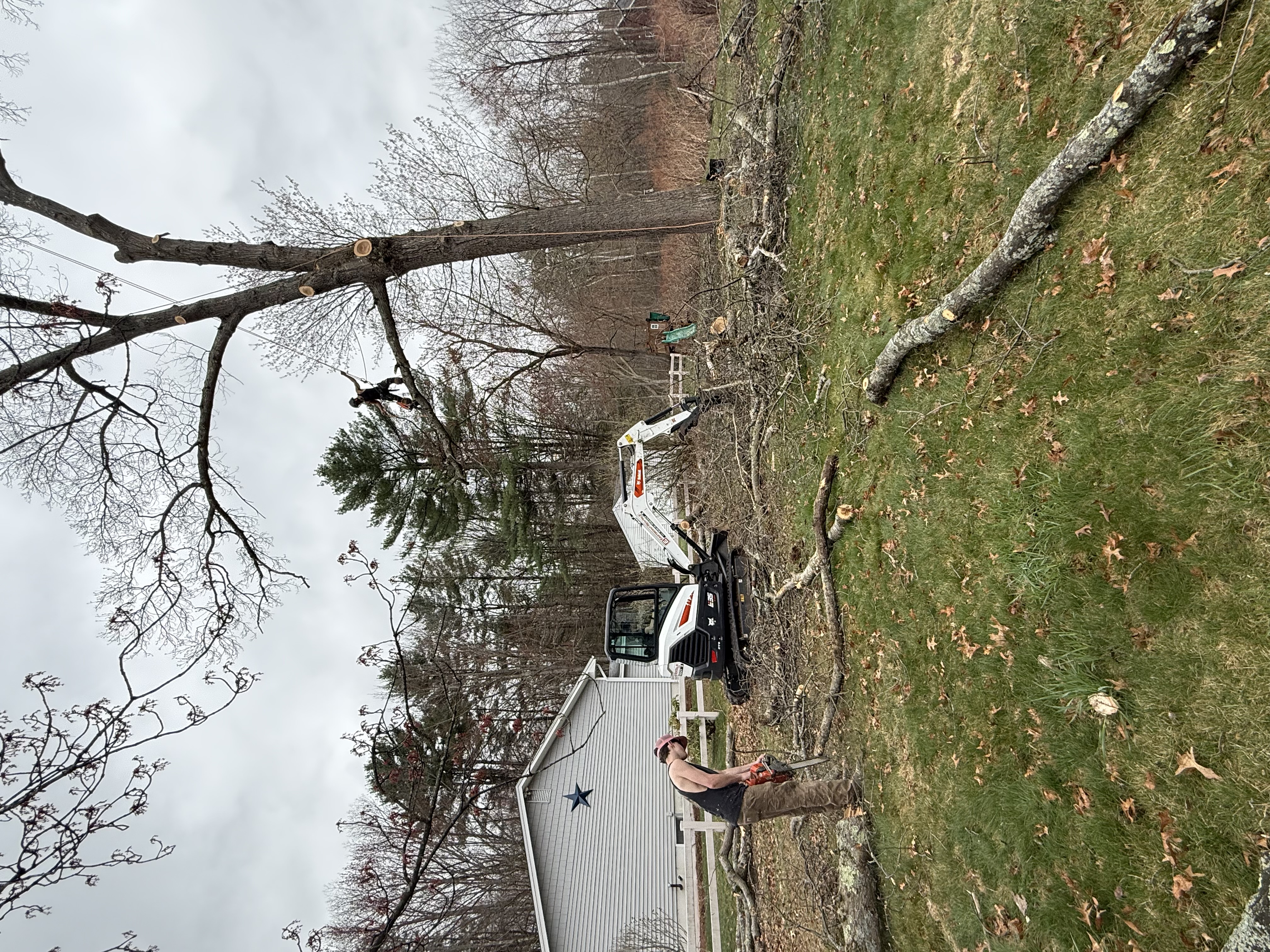 D&D Landscaping excavation project