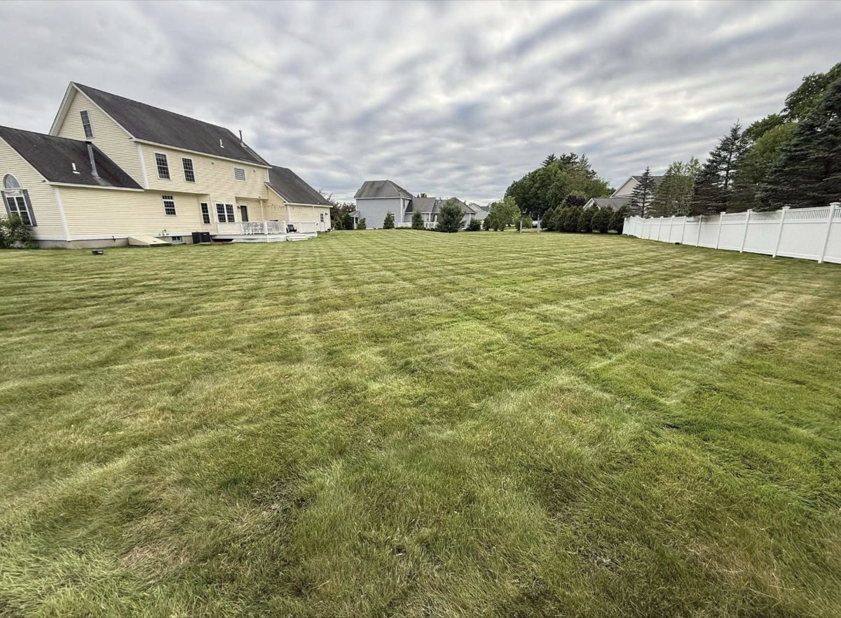 D&D Landscaping lawn maintenance project