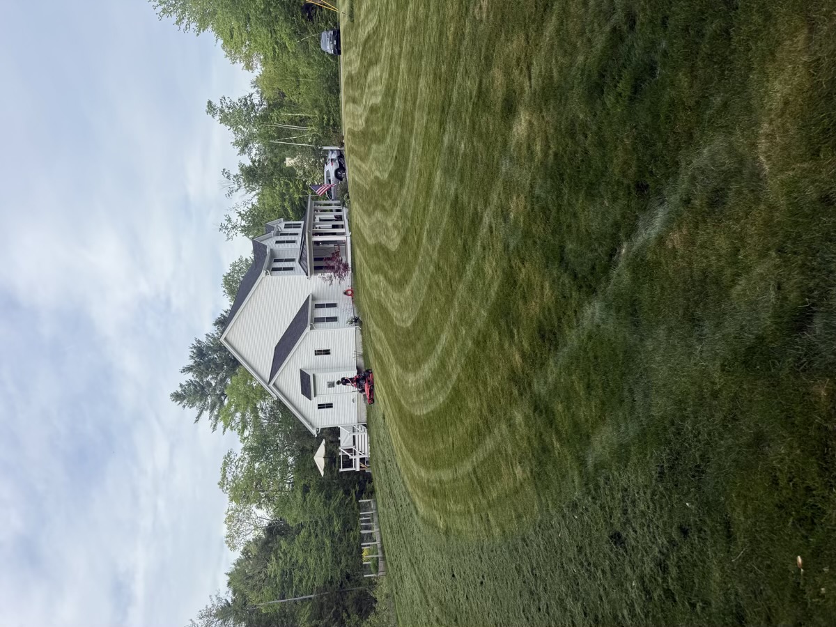 D&D Landscaping lawn maintenance project