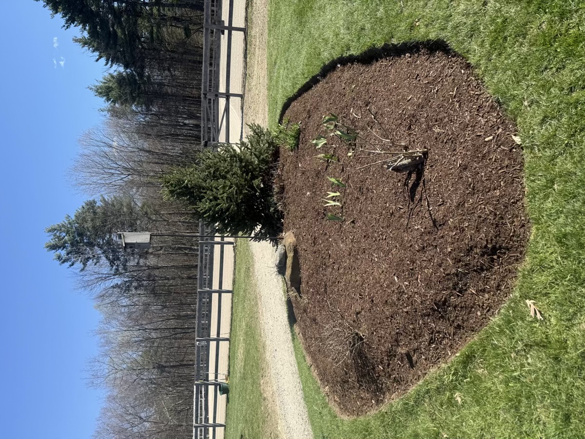 D&D Landscaping mulch and grading project