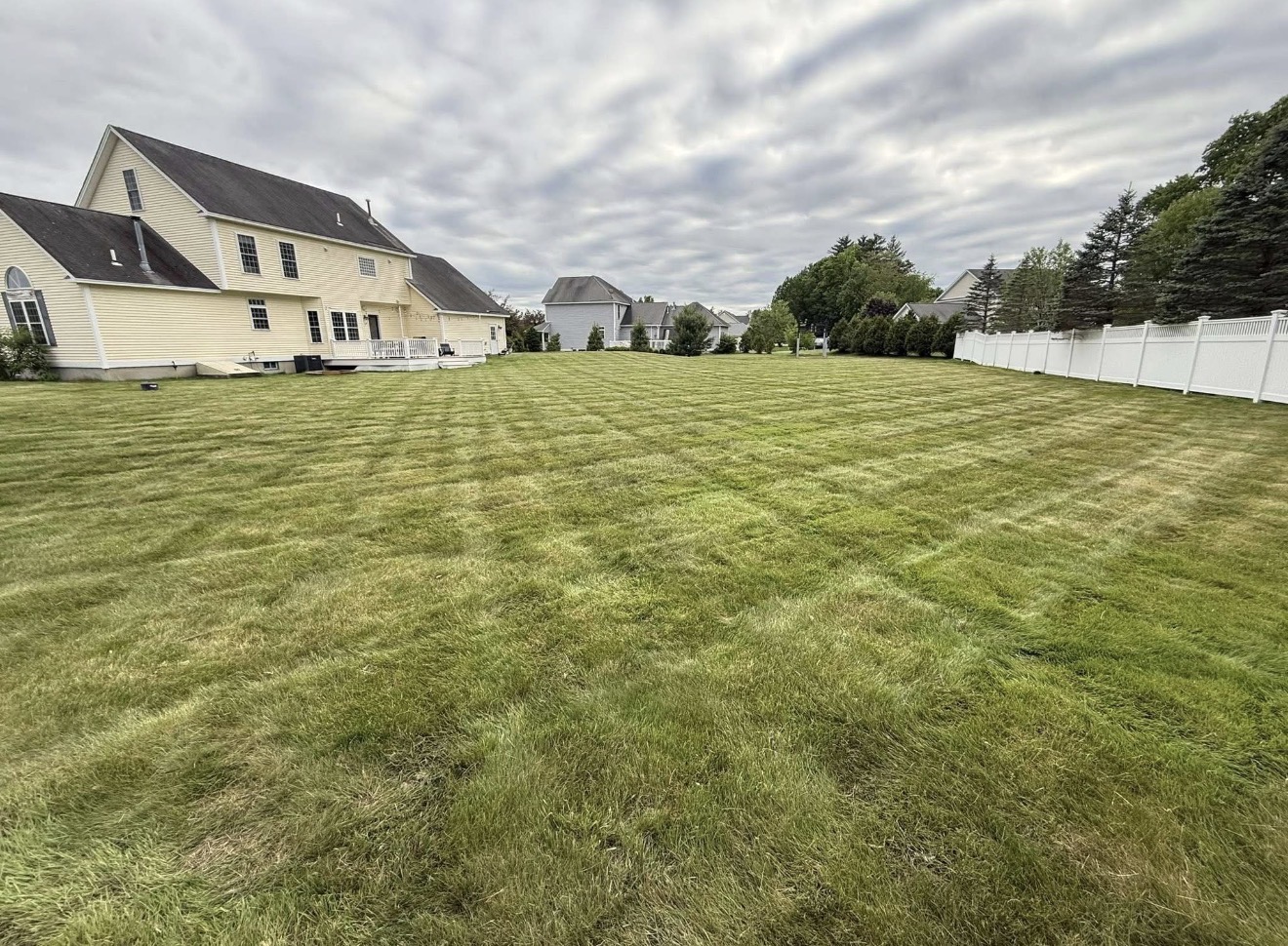 Lawn Maintenance