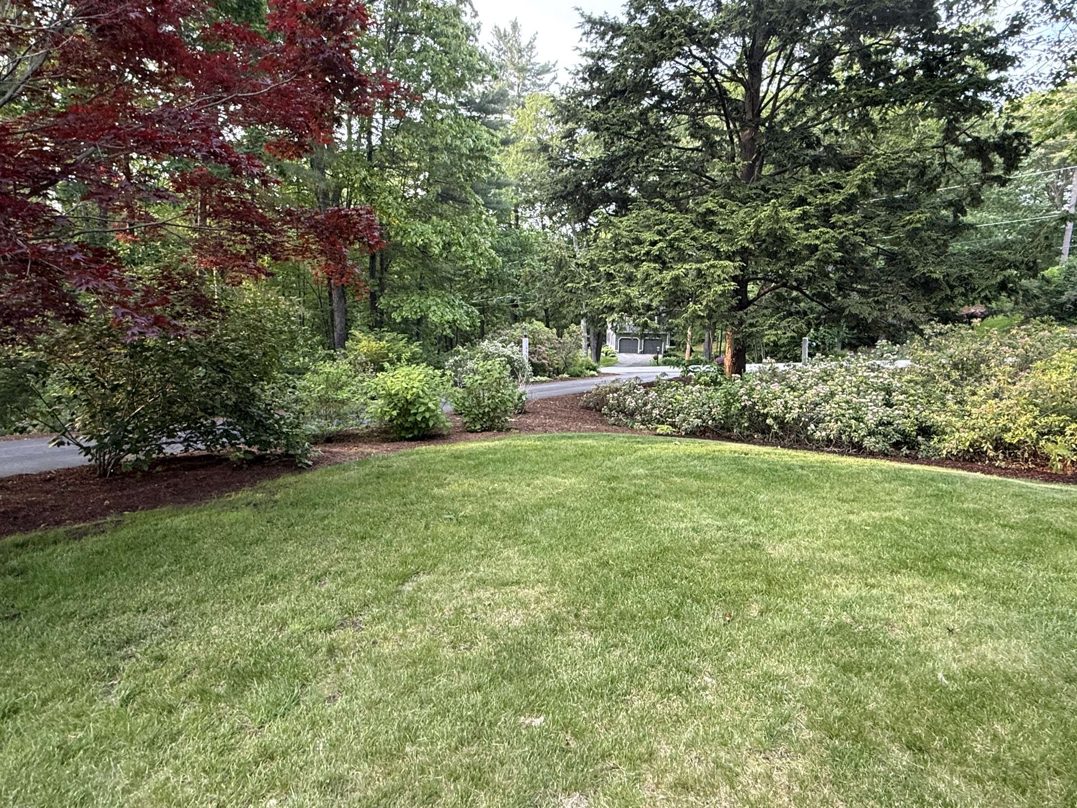 Mulch