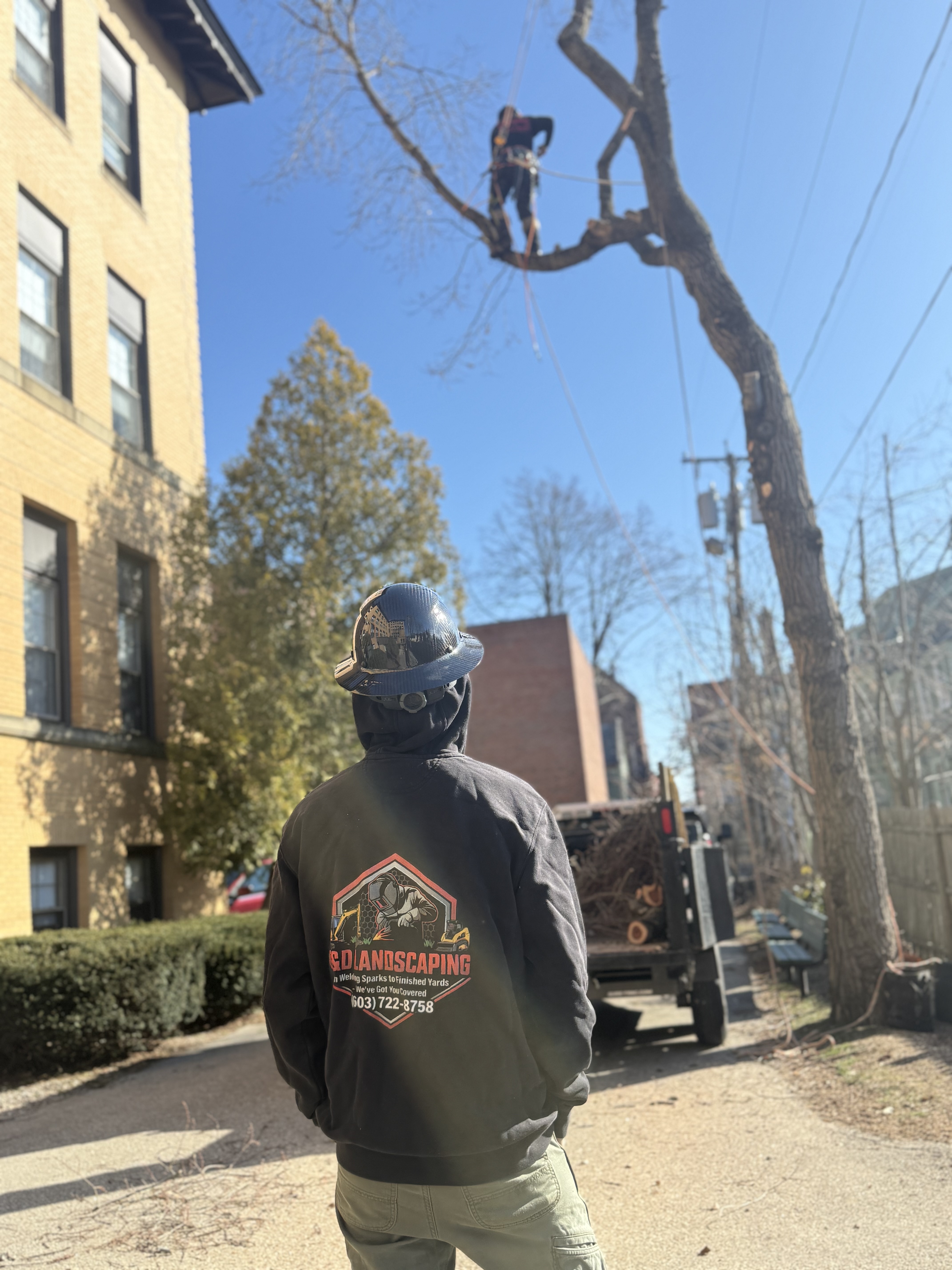 Tree Service